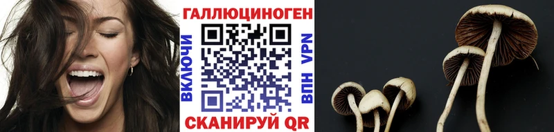Купить  Куйбышев  Галлюциногенные грибы ЛСД 